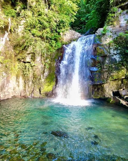 Vera Falls - Albay