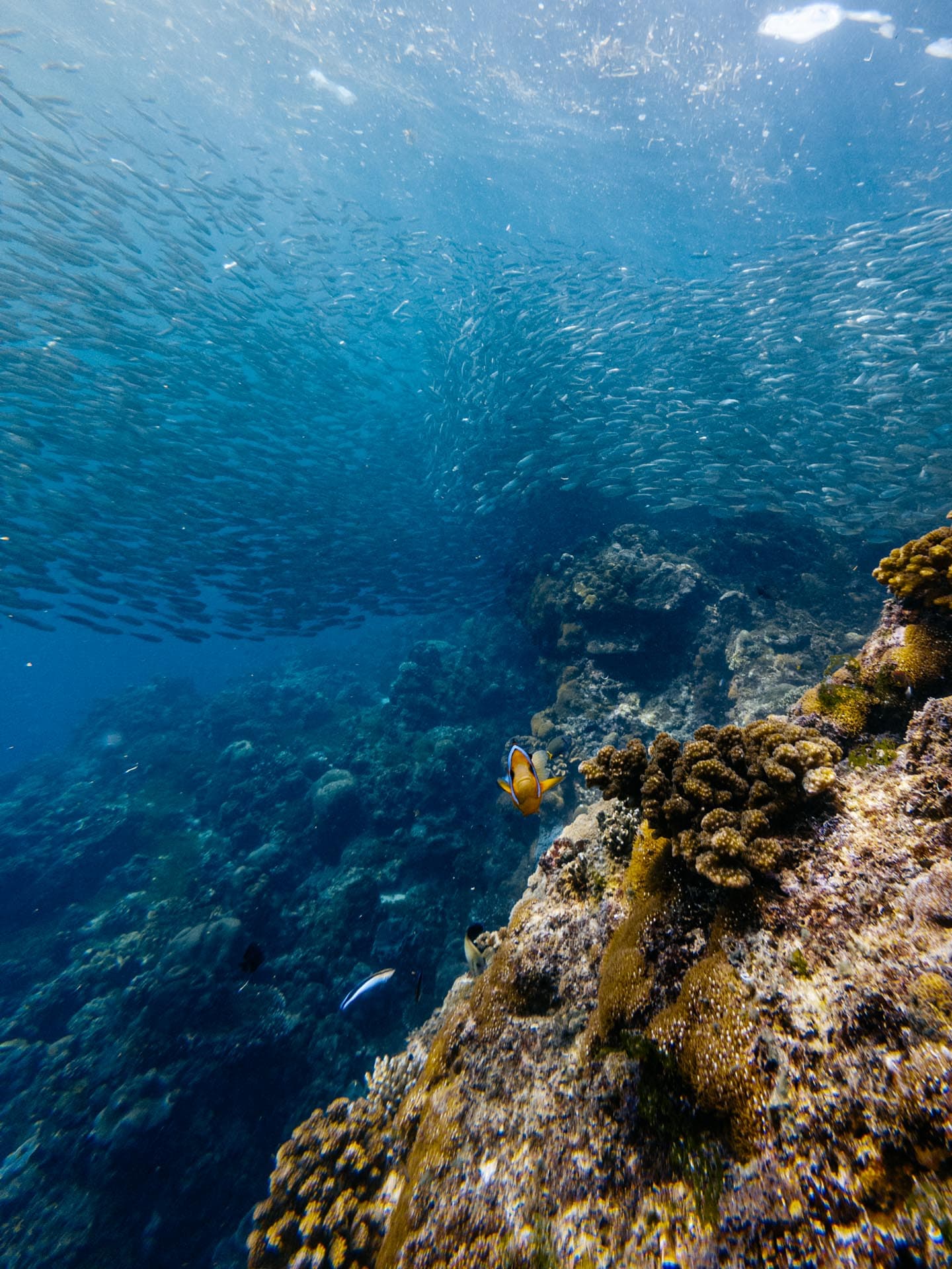 Napaling Reef