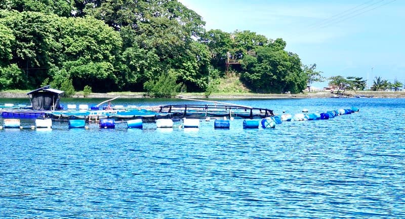 Taguines Lagoon