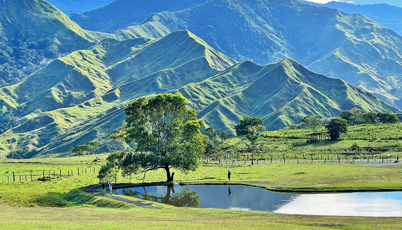 Communal Ranch