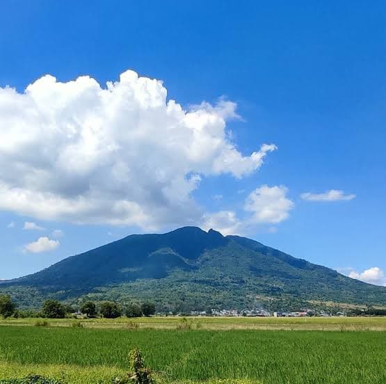 Mount Arayat