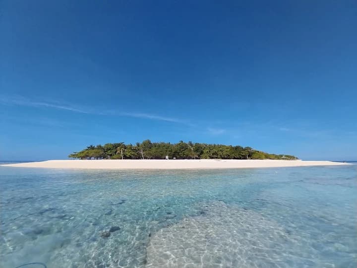 Apo Reef Natural Park