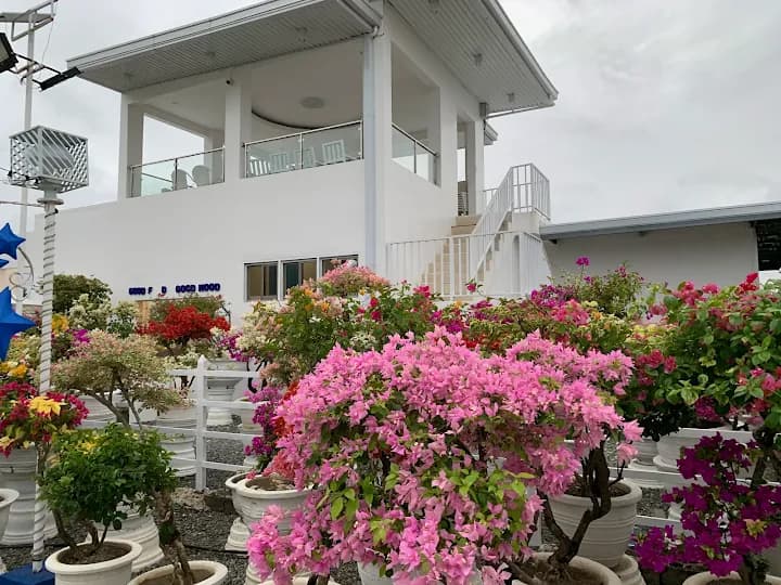 Meraki Garden