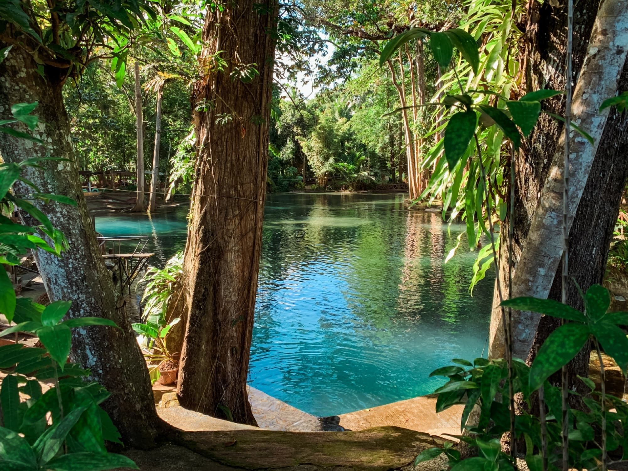 Nasuli Spring