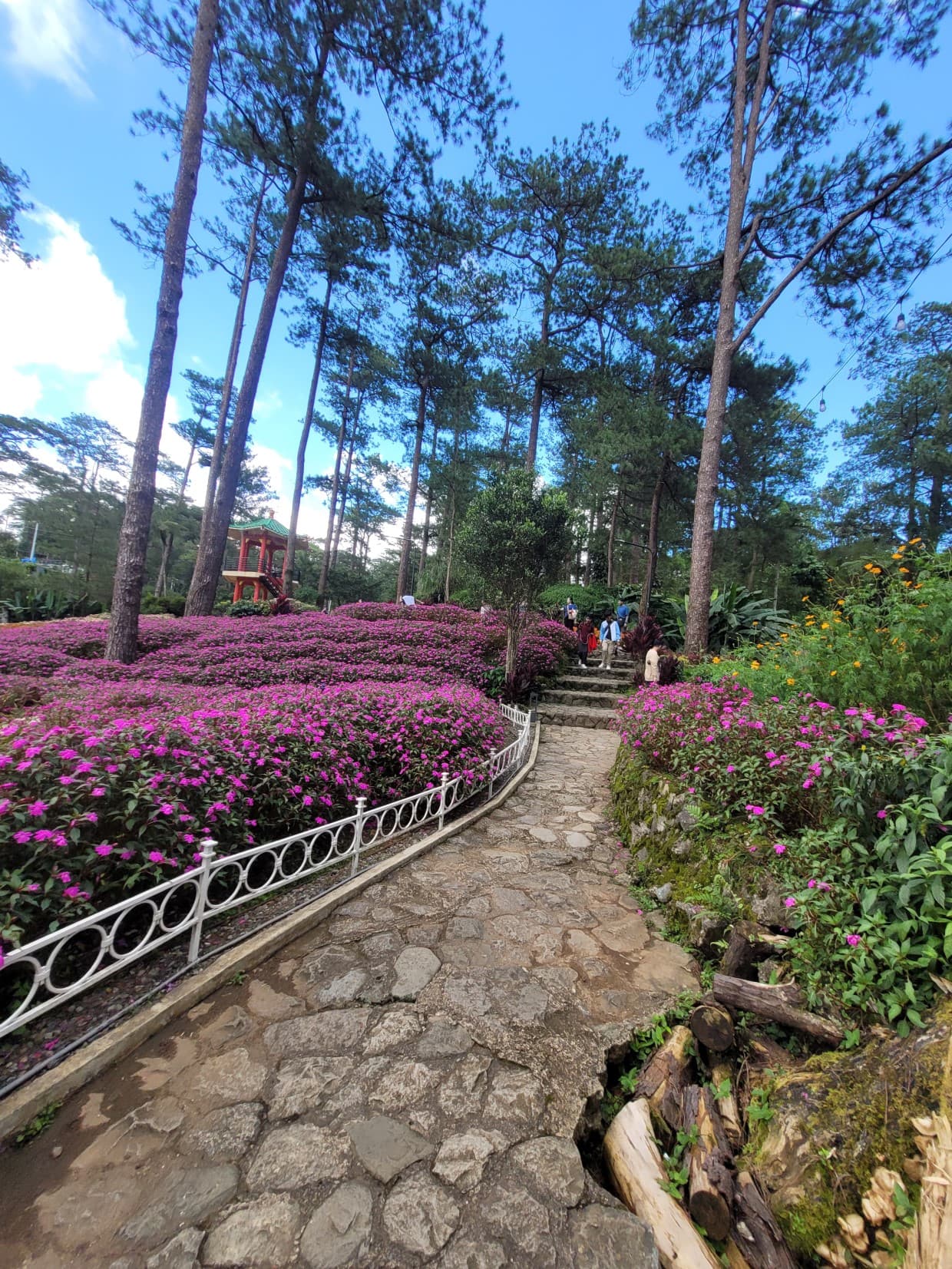 Baguio Botanical Garden