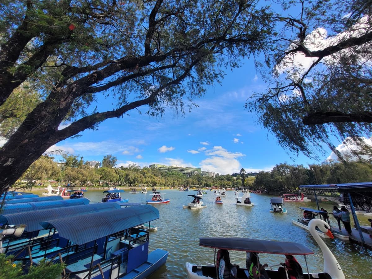 BURNHAM PARK