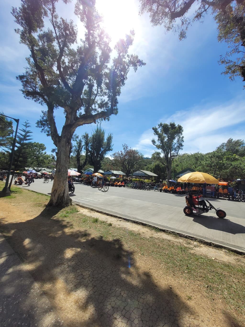 Stroll or bike along the park's picturesque pathways