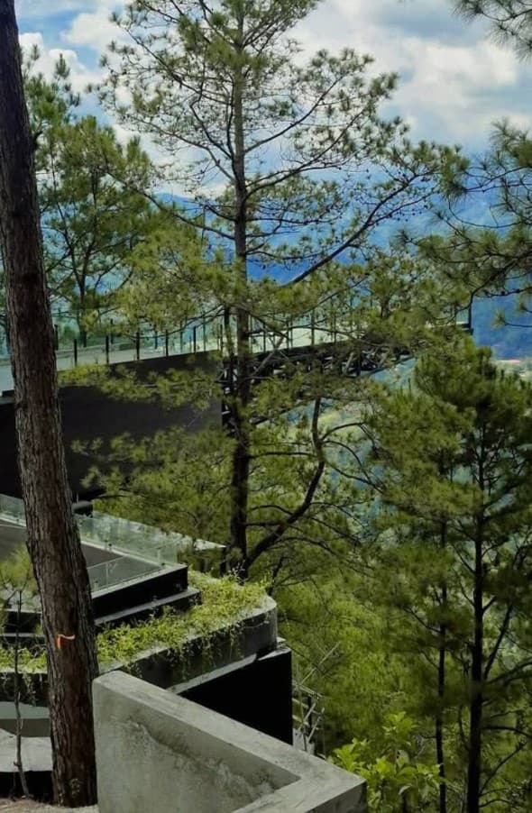 Mt. Camisong Forest Park and Events