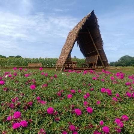 Kinawe Blooming Farm