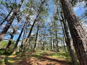 Camp John Hay