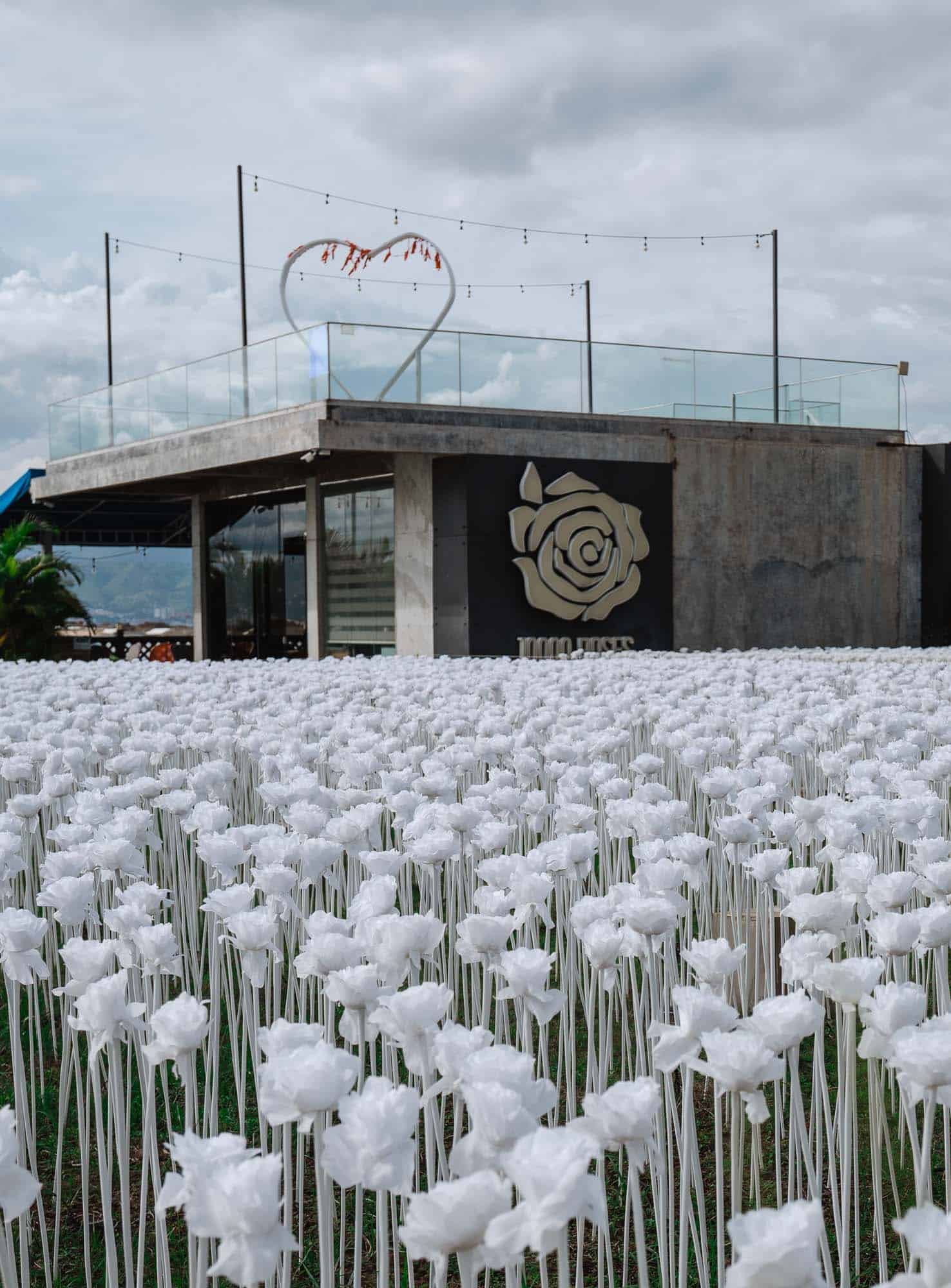 10000 White Roses Cafe