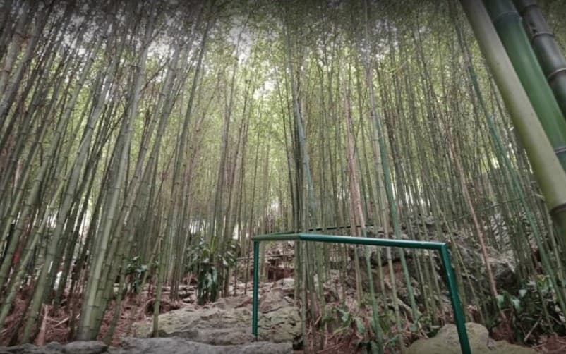Mirador Heritage and Eco Park