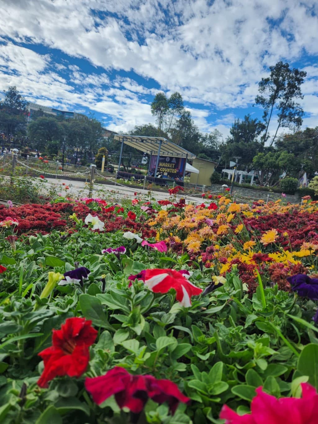 Visit the nearby rose garden and take in the beautiful blooms