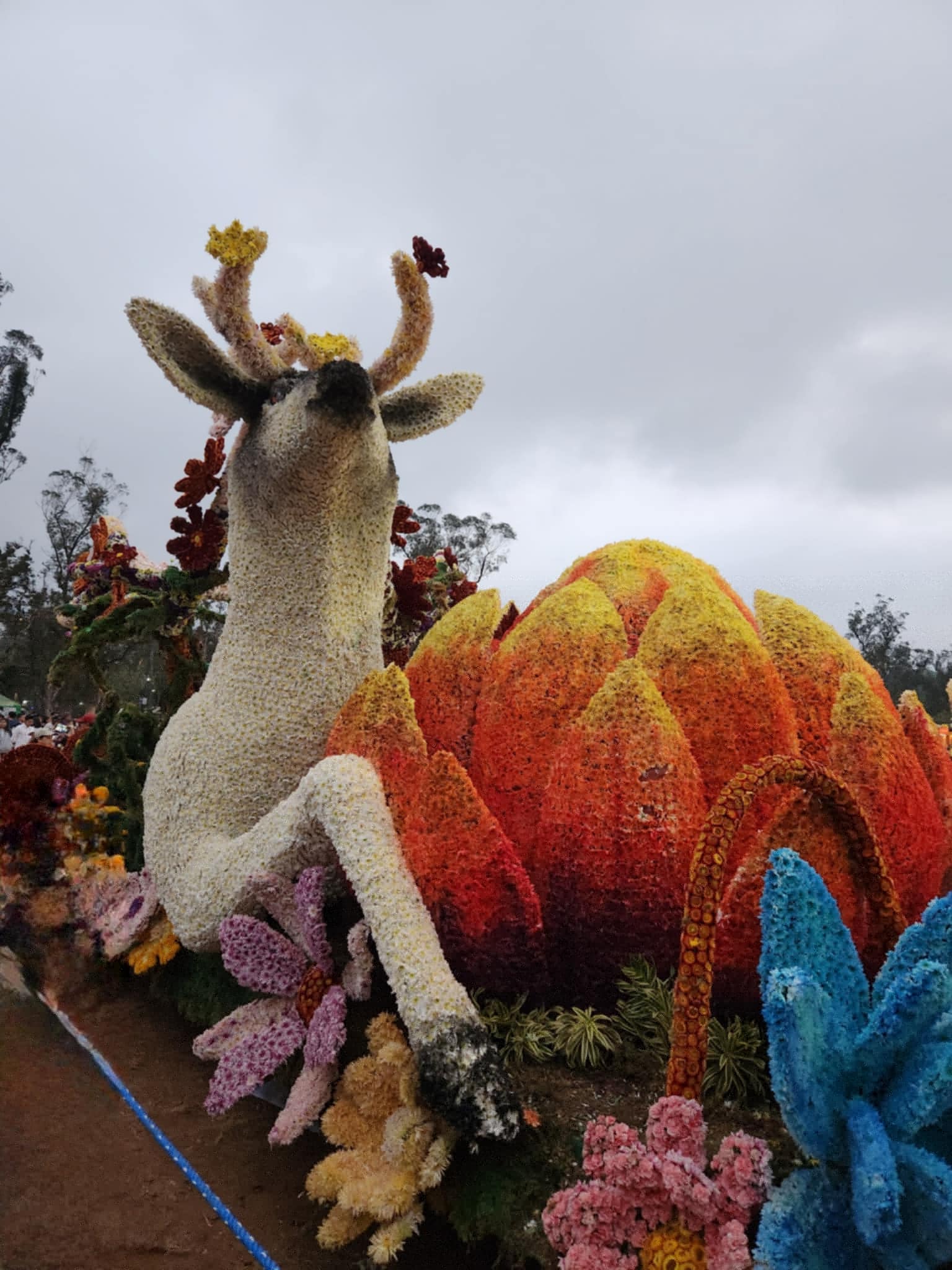 Planning to watch Panagbenga 2025 Here's the schedule and activities